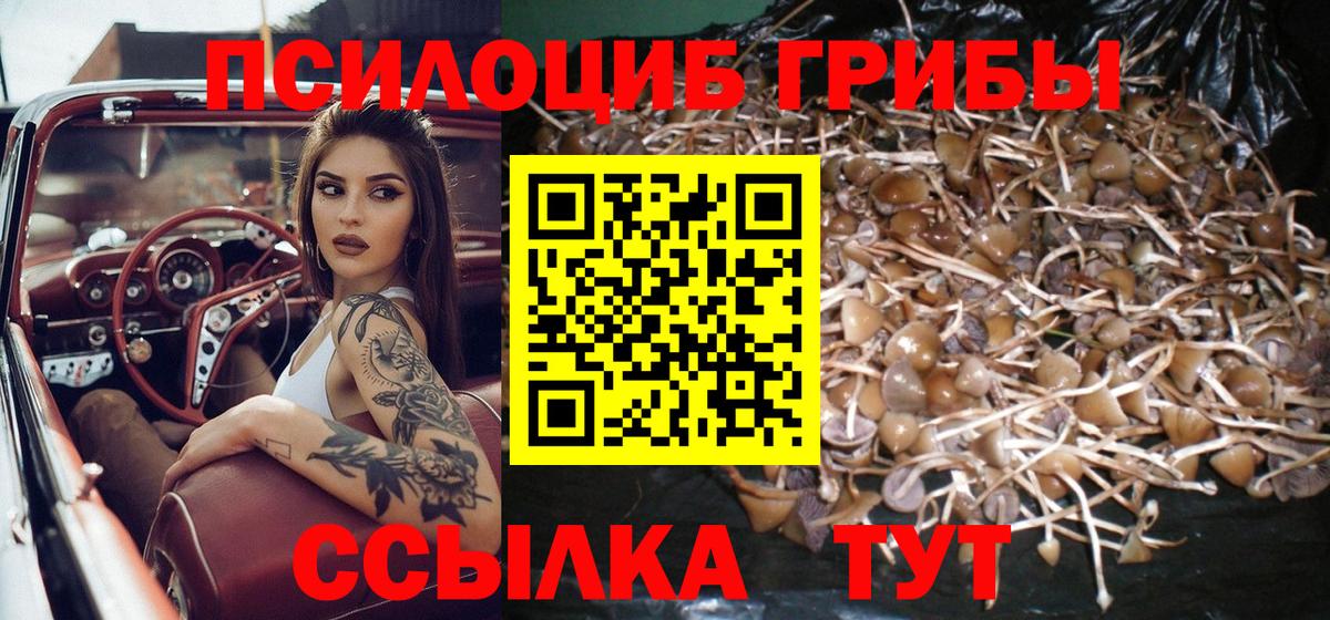 Ленинск-Кузнецкий  Галлюциногенные грибы ЛСД  Вход с VPN 