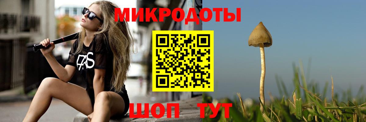 Галлюциногенные грибы MAGIC MUSHROOMS Ленинск-Кузнецкий