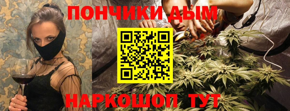 Конопля гибрид Ленинск-Кузнецкий